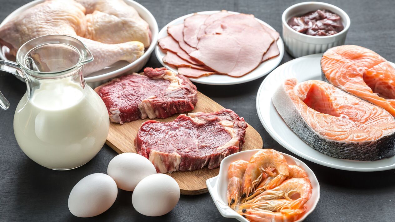 protein diyeti ürünleri