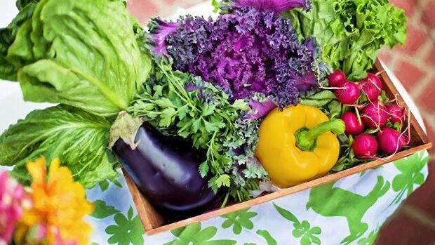 Ducan diyetindeki sebzeler ve yeşillikler